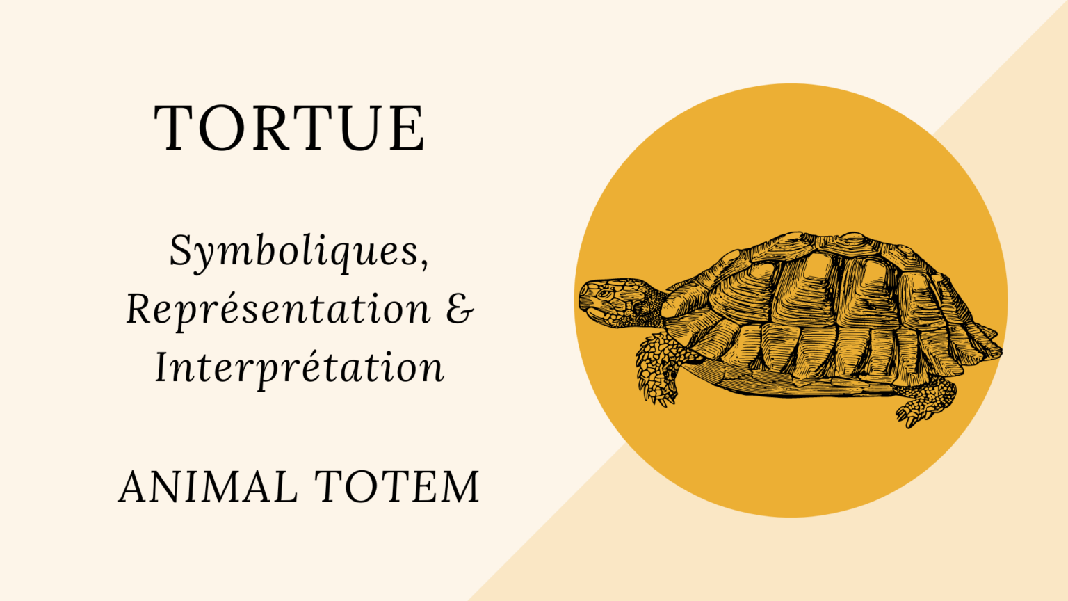 Animal Totem Tortue Symboliques, représentations et interprétation