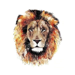 Tatouage-temporaire-Lion-d'Afrique