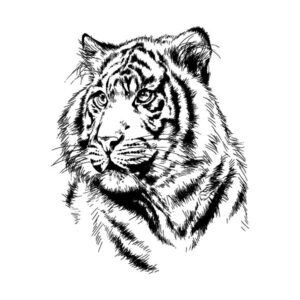 Tatouage-temporaire-Tigre-noir-et-blanc