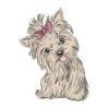 Tatouage mignon portrait Chien Yorkshire