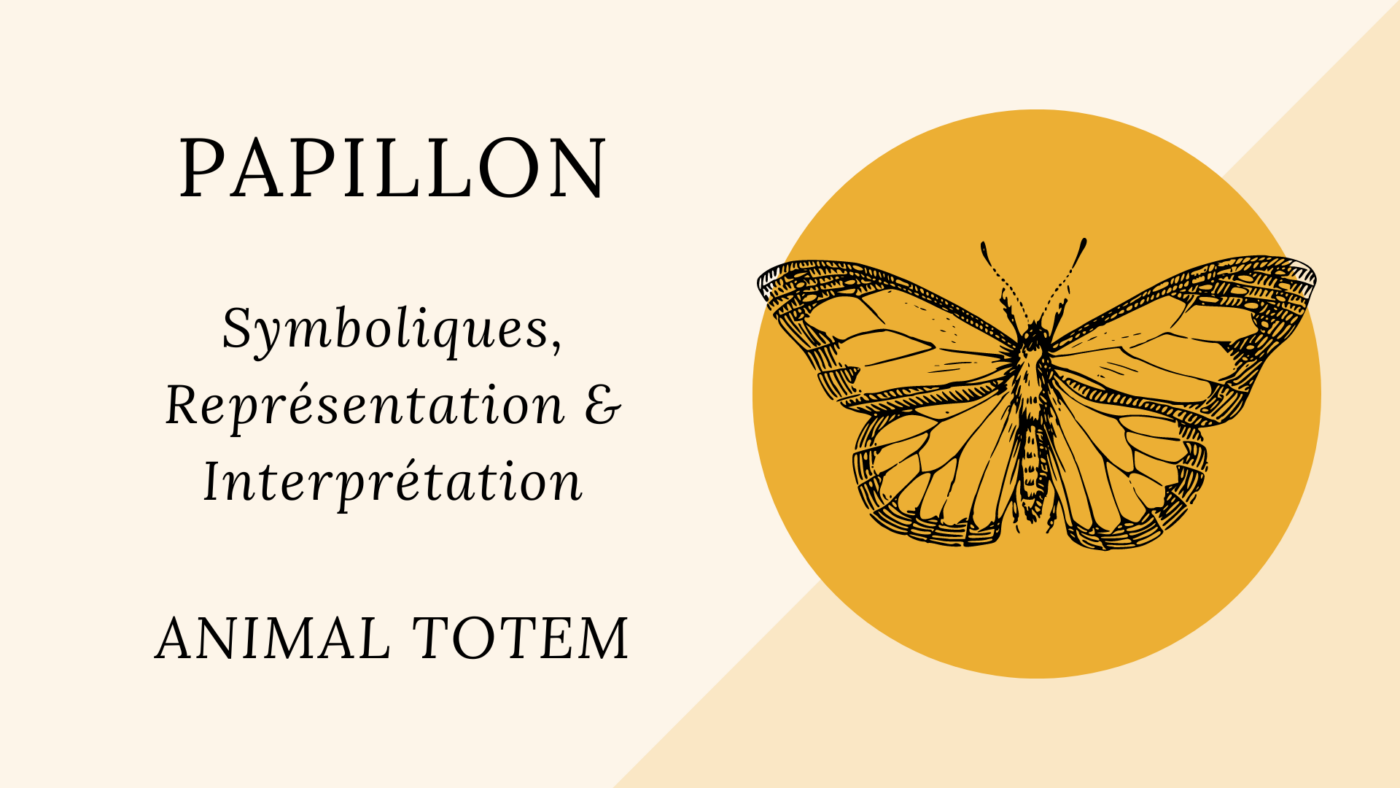 ANIMAL TOTEM Papillon