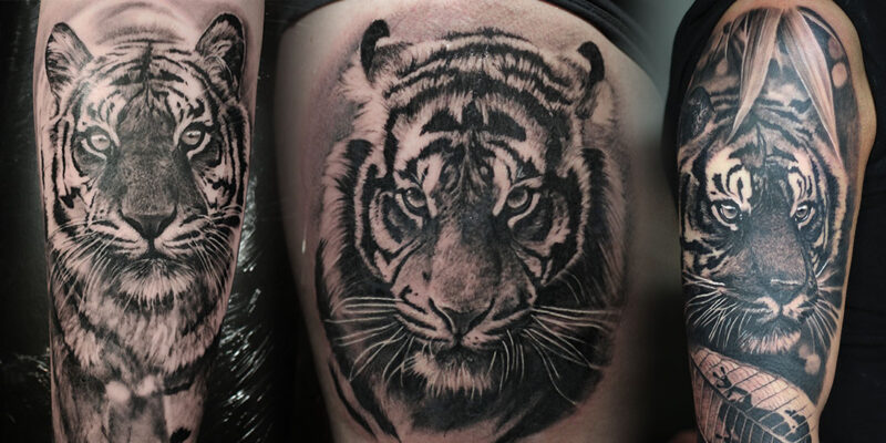 tatouage tigre significations