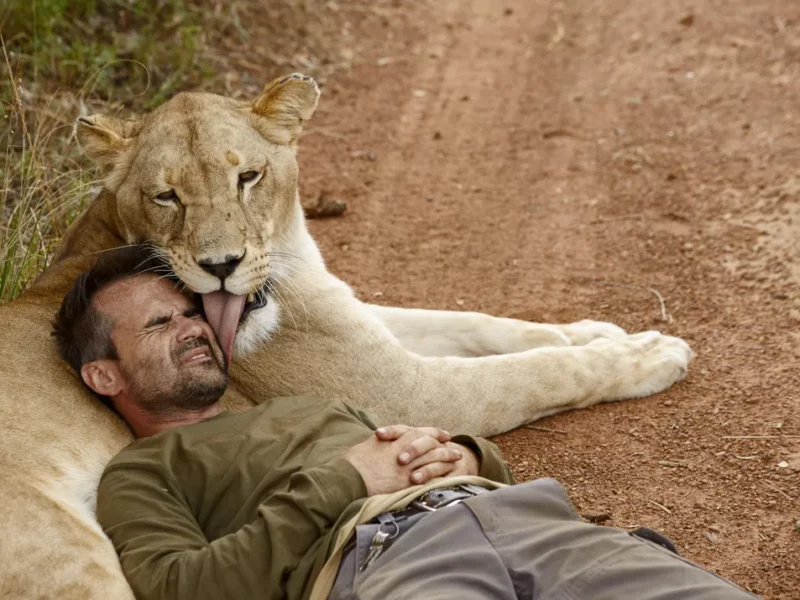 kevin richardson et les lions