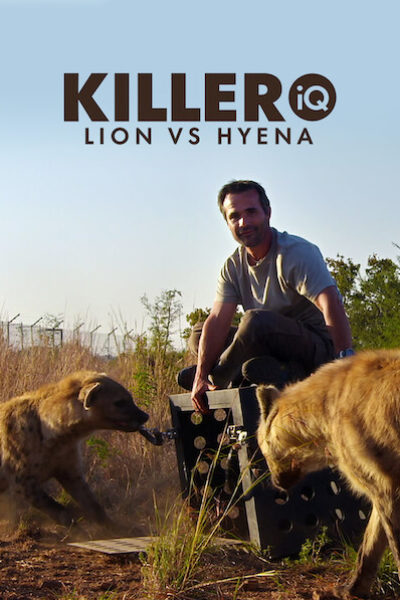 kevin richardson killer iq lions vs hyenas